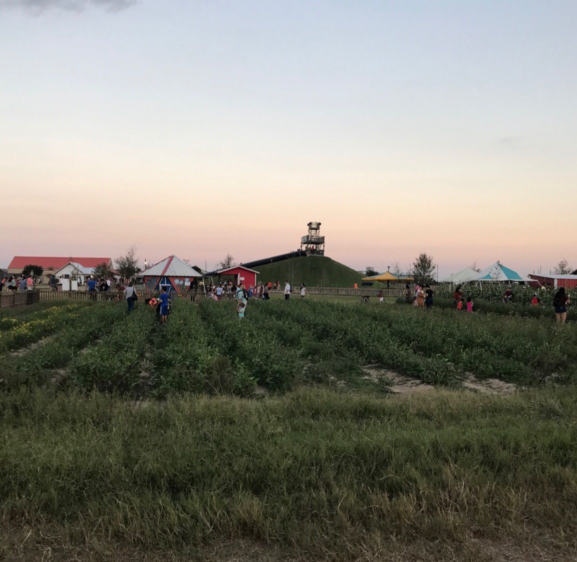 Fields at Dewberry Farm The Sassy Southern