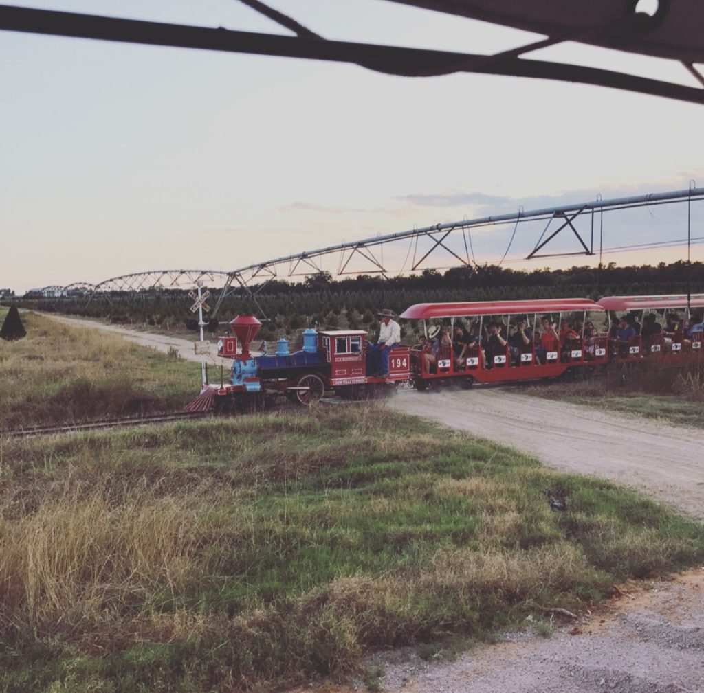 Train at Dewberry Farm